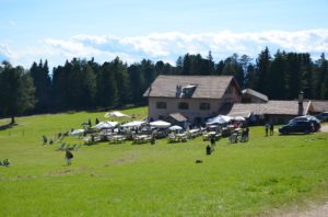 Gurndinalm
